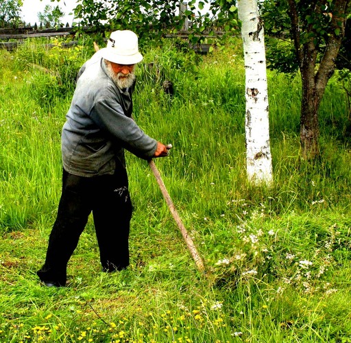 «ДЕД ЗА КОСЬБОЙ!»