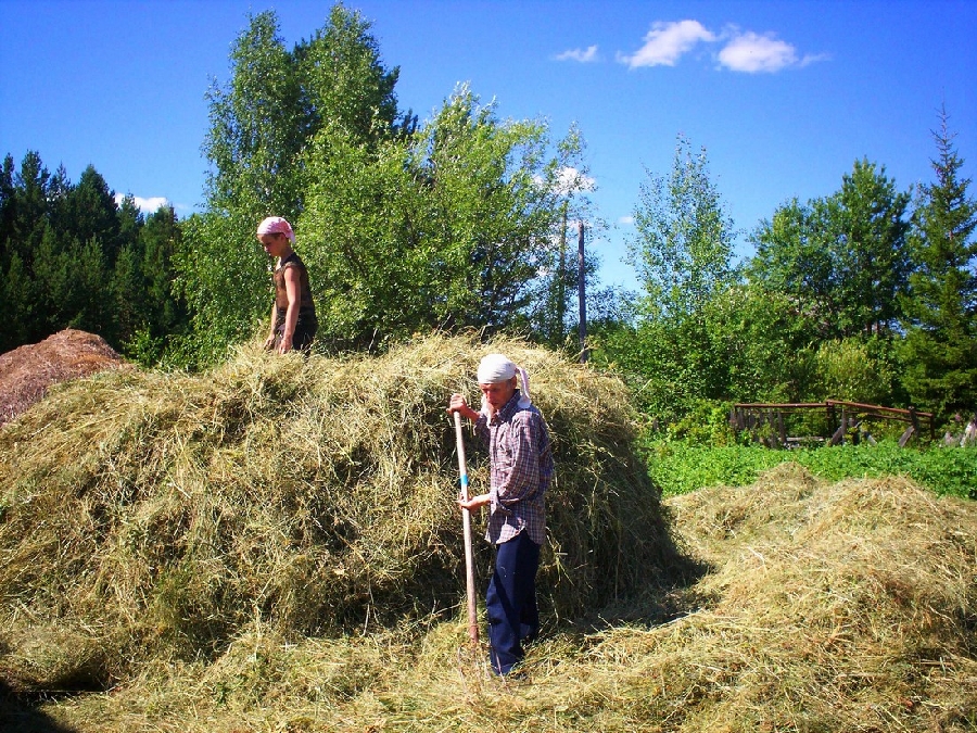 «СТОГОВАНИЕ!..»
