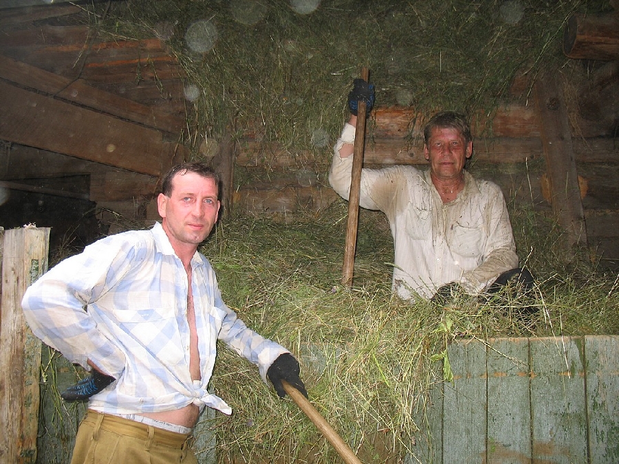 «ВСЕ! СЕНО НА СЕНОВАЛЕ!..»