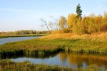 Осенний пейзаж1