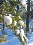 ВЕСЕННЕЕ НАСТРОЕНИЕ!