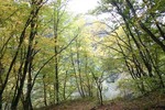 КАВКАЗСКАЯ ЗОЛОТАЯ ОСЕНЬ